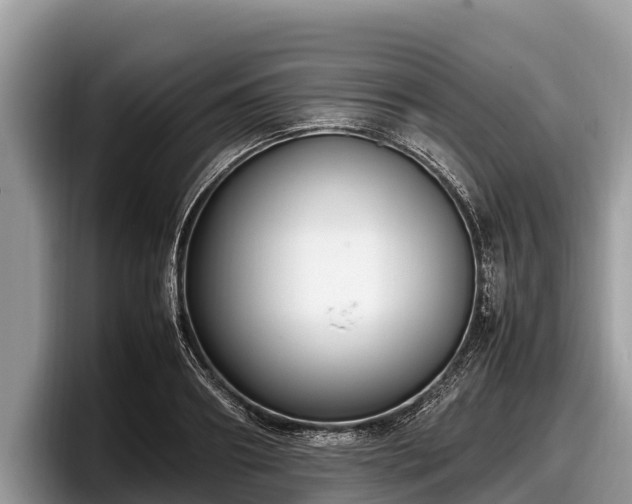 X0000097880890200803211332