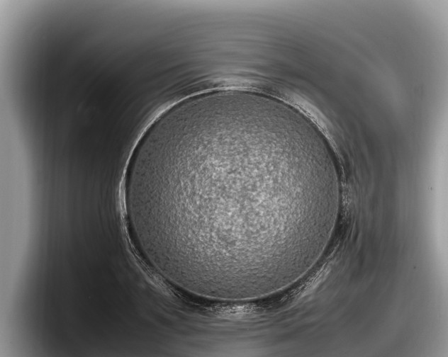 X0000097880891200803211332