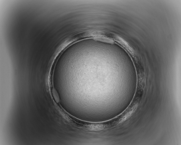 X0000097880893200803211332