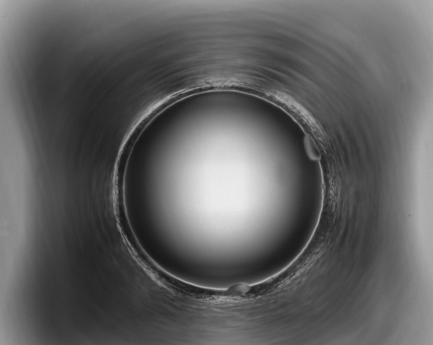 X0000097880894200803211332