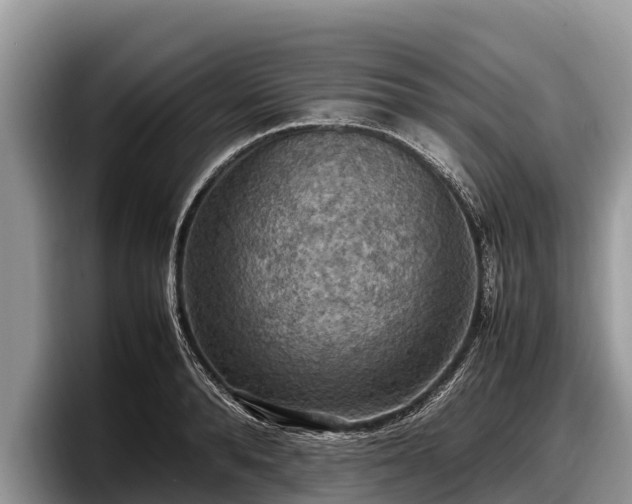 X0000097880896200803211332