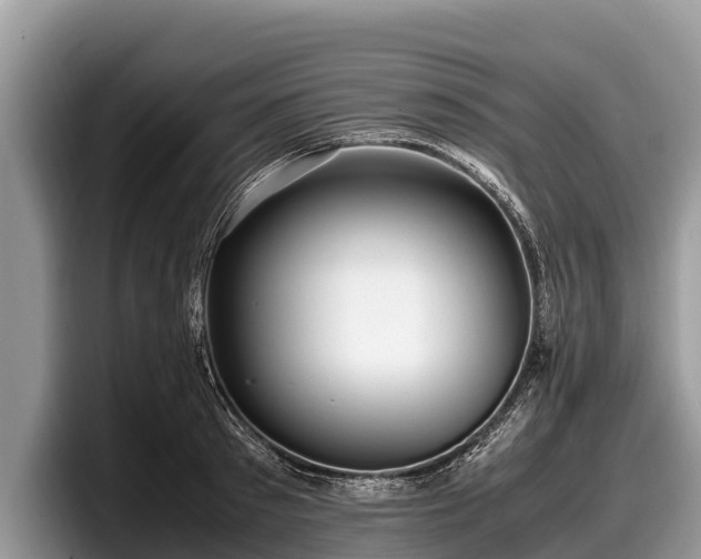 X0000097880897200803211332