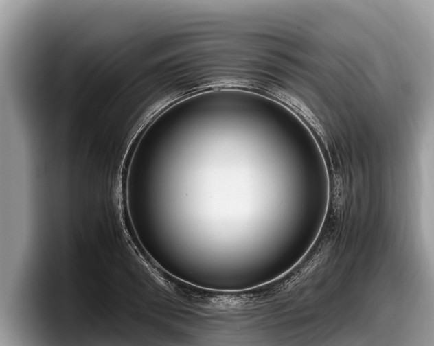 X0000097880898200803211332