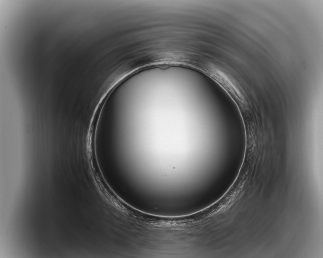 X0000097880900200803211332