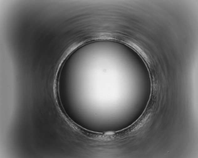 X0000097880901200803211332