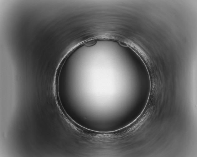 X0000097880902200803211332
