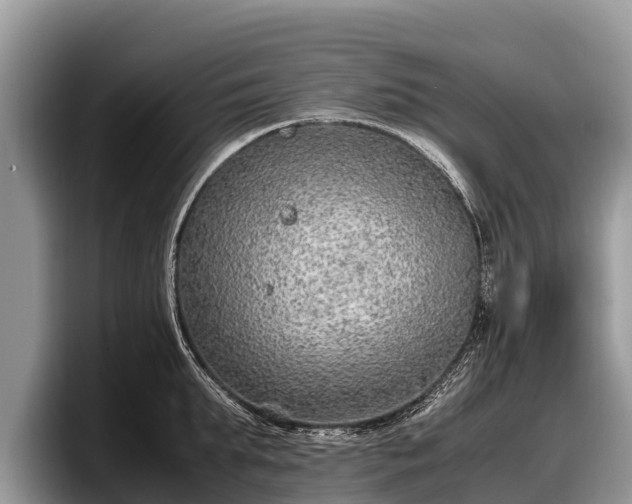 X0000097880903200803211332