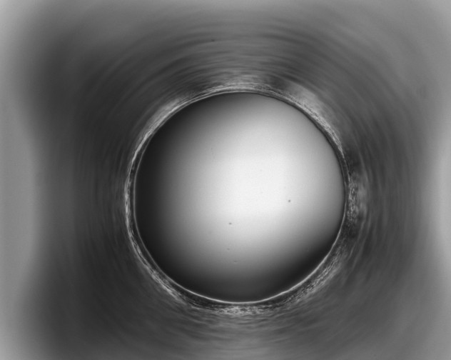 X0000097880906200803211332