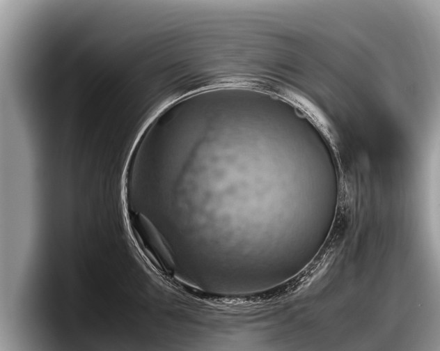 X0000097880907200803211332