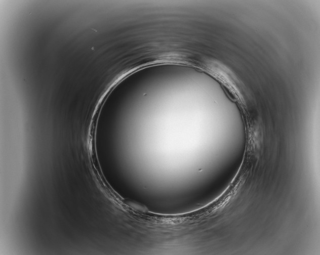 X0000097880908200803211332
