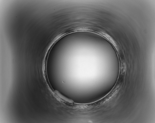 X0000097880909200803211332