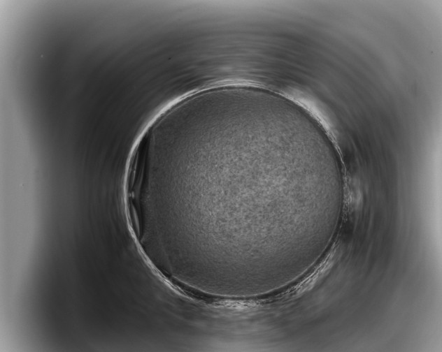 X0000097880910200803211332