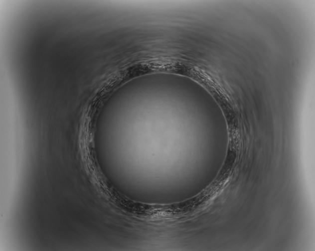 X0000097880913200803211331