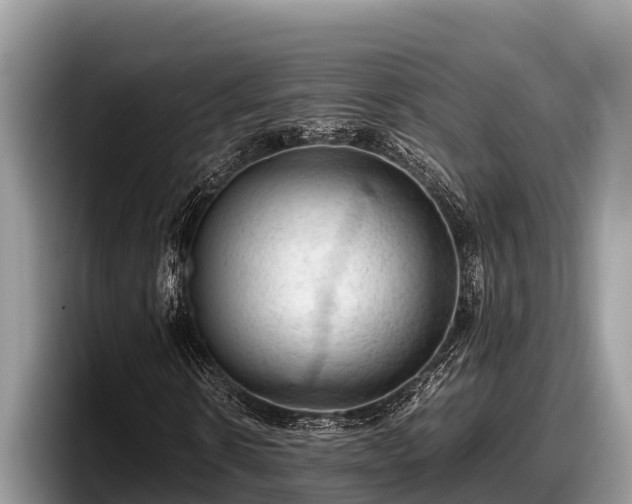 X0000097880914200803211331