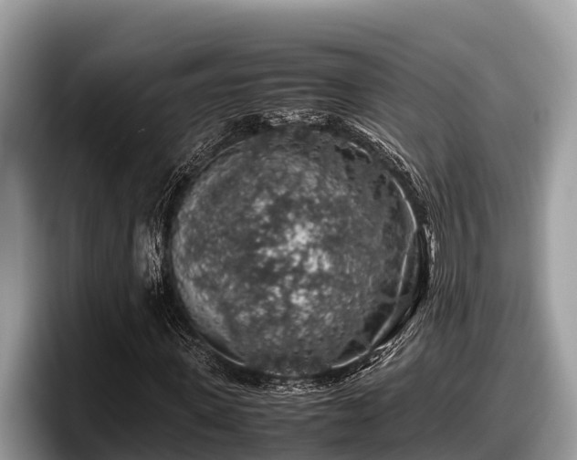 X0000097880915200803211331