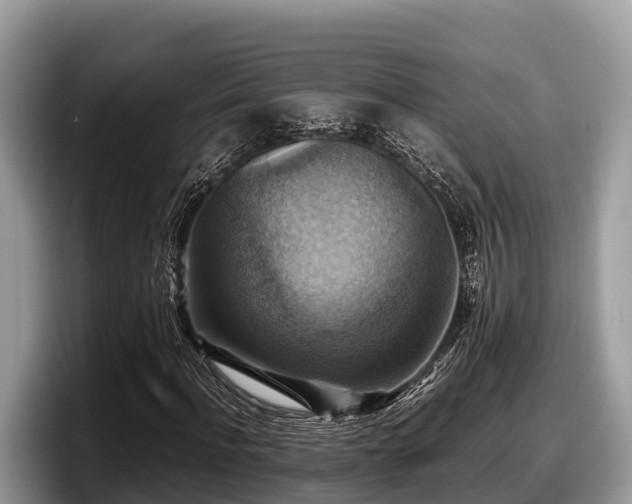 X0000097880916200803211331