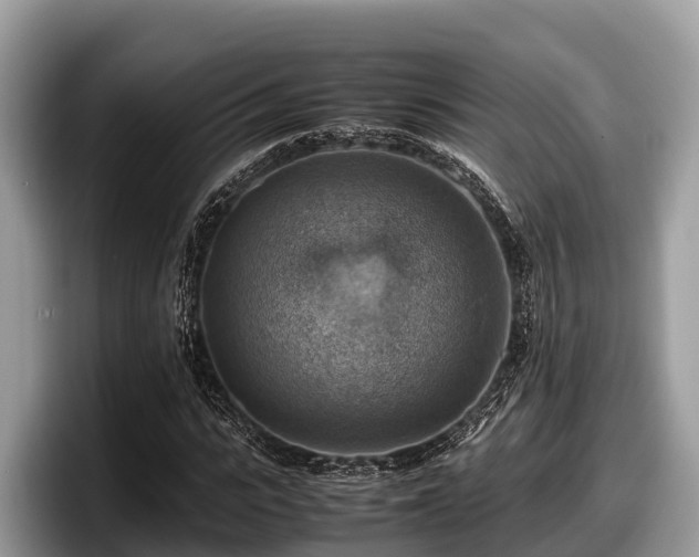 X0000097880919200803211331