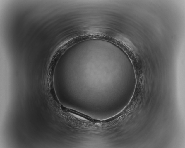 X0000097880920200803211331