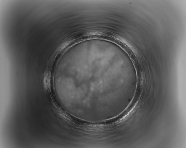 X0000097880921200803211331