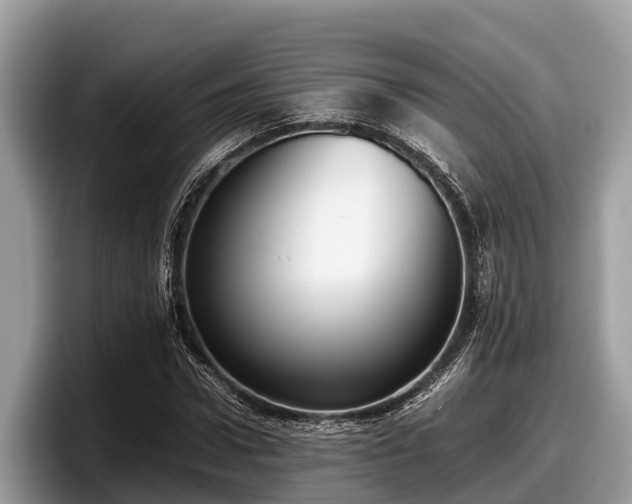 X0000097880922200803211331