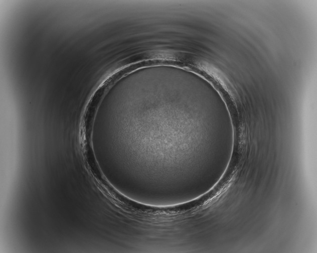 X0000097880923200803211331