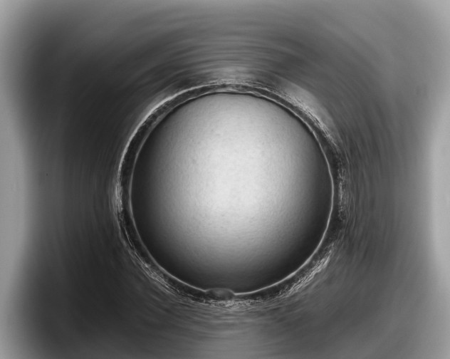 X0000097880924200803211331