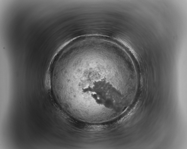 X0000097880925200803211331