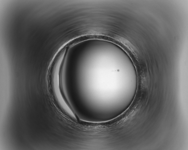 X0000097880926200803211331