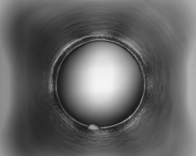 X0000097880927200803211331