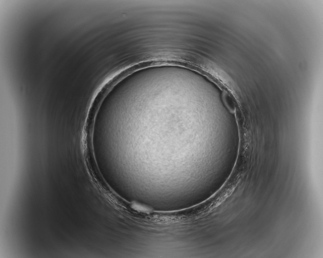 X0000097880928200803211331