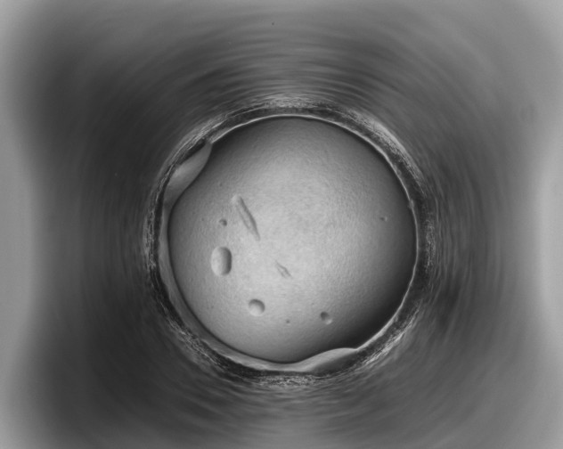 X0000097880930200803211331