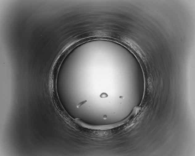 X0000097880931200803211331