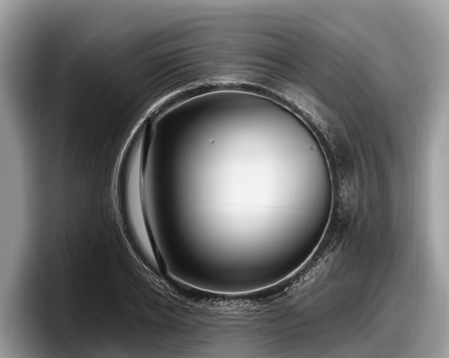 X0000097880934200803211331
