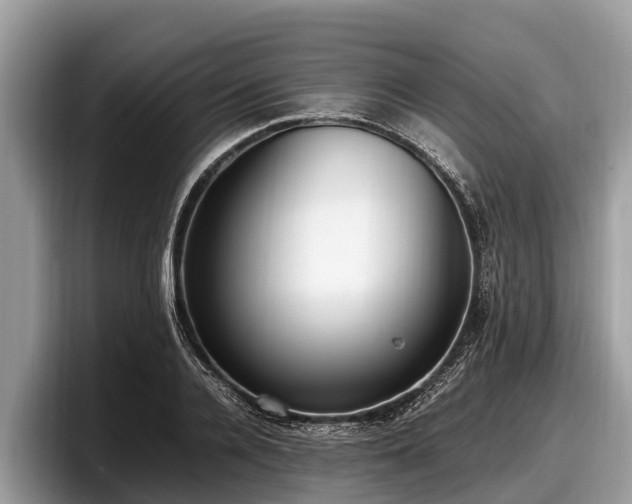 X0000097880936200803211331