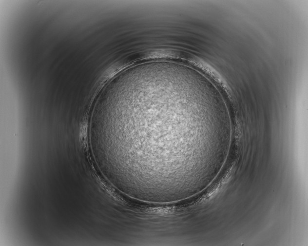 X0000097880937200803211331