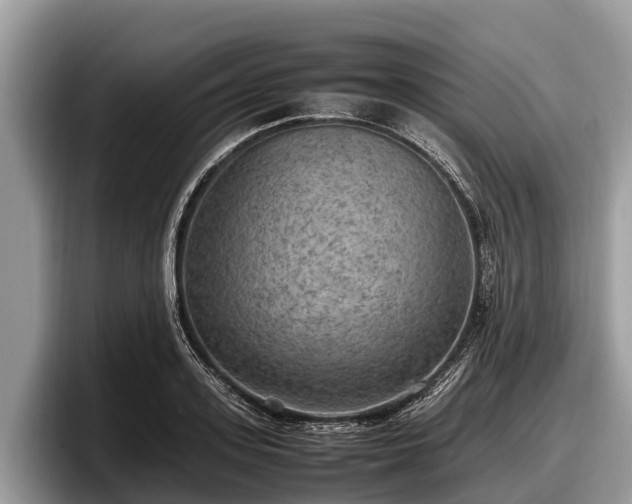X0000097880939200803211331