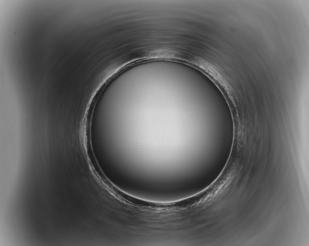 X0000097880941200803211331