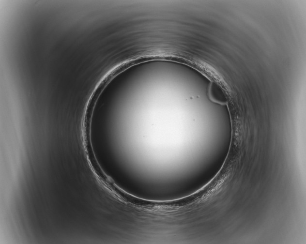 X0000097880942200803211331