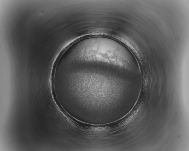X0000097880943200803211331
