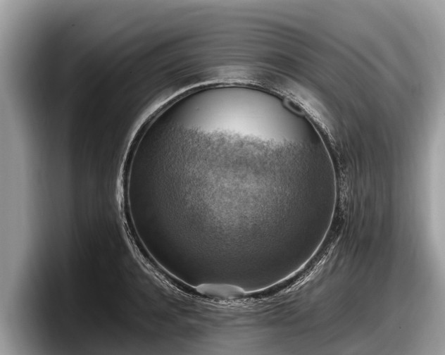 X0000097880944200803211331