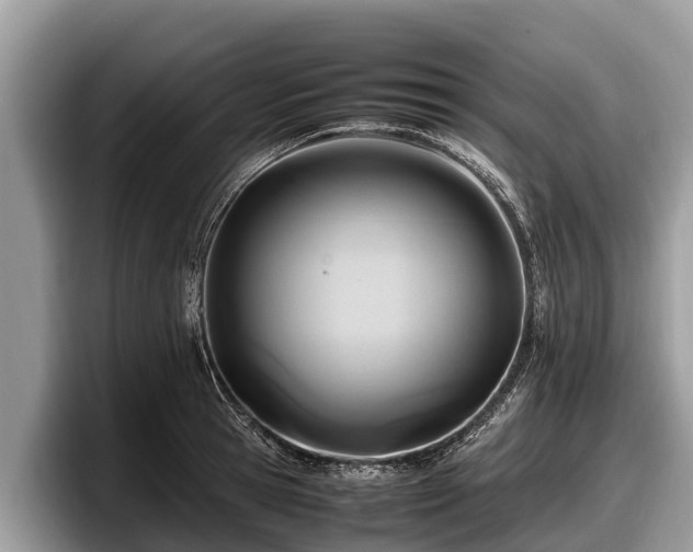 X0000097880945200803211331