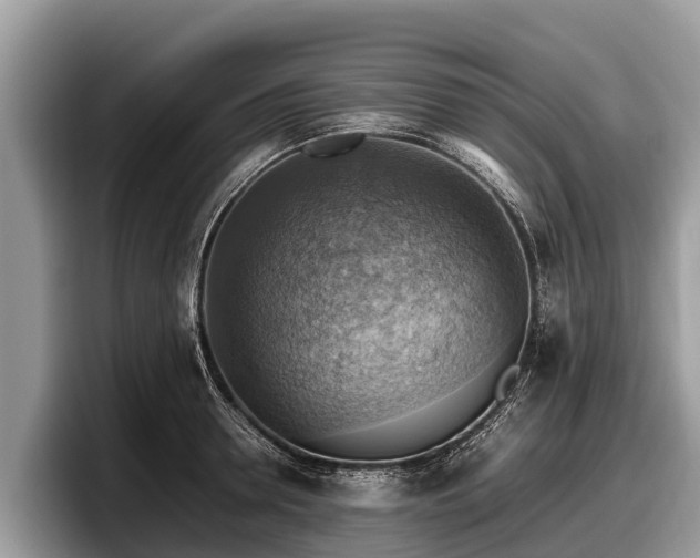 X0000097880946200803211331