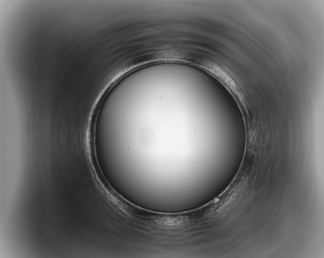X0000097880947200803211331