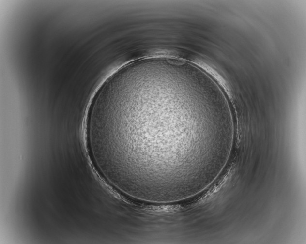 X0000097880949200803211331