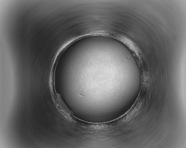 X0000097880952200803211331