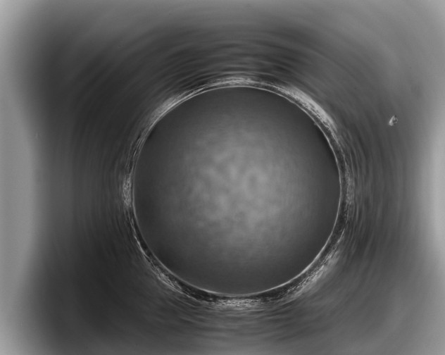 X0000097880953200803211331