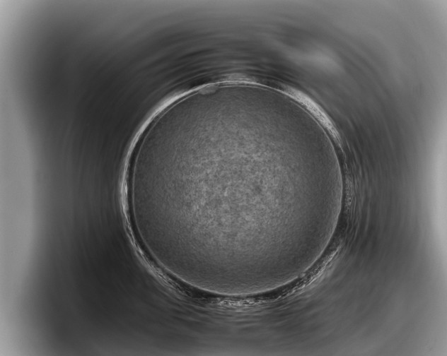 X0000097880955200803211331