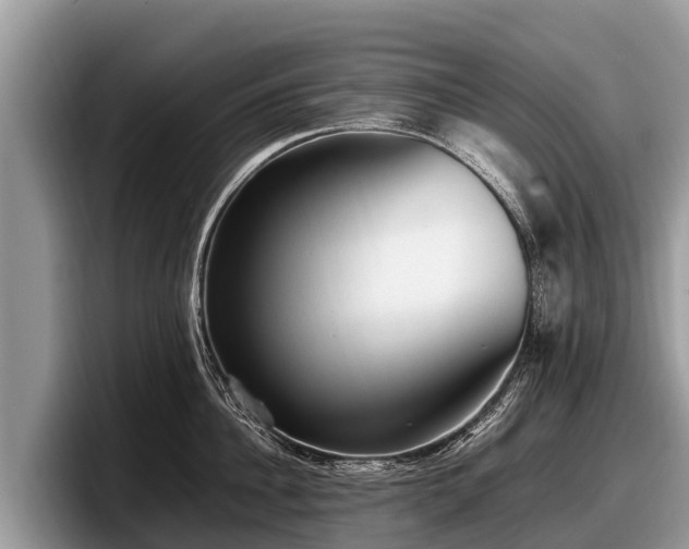 X0000097880956200803211331