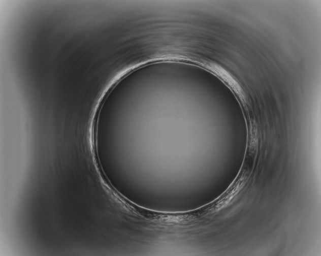 X0000097880958200803211331