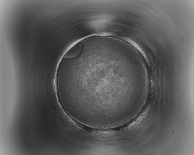 X0000097880959200803211331